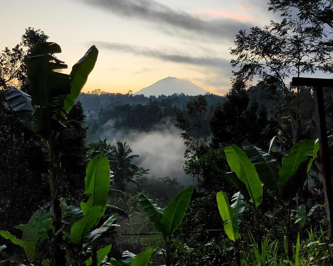 Delta Casa Ubud-Cozy Tropical Villas With Volcano View Gianyar (Bali) Ngoại thất bức ảnh