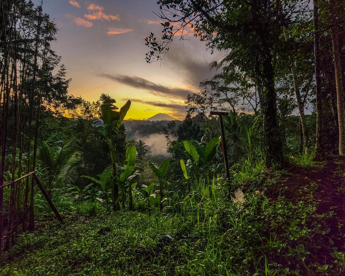Delta Casa Ubud-Cozy Tropical Villas With Volcano View Gianyar (Bali) Ngoại thất bức ảnh