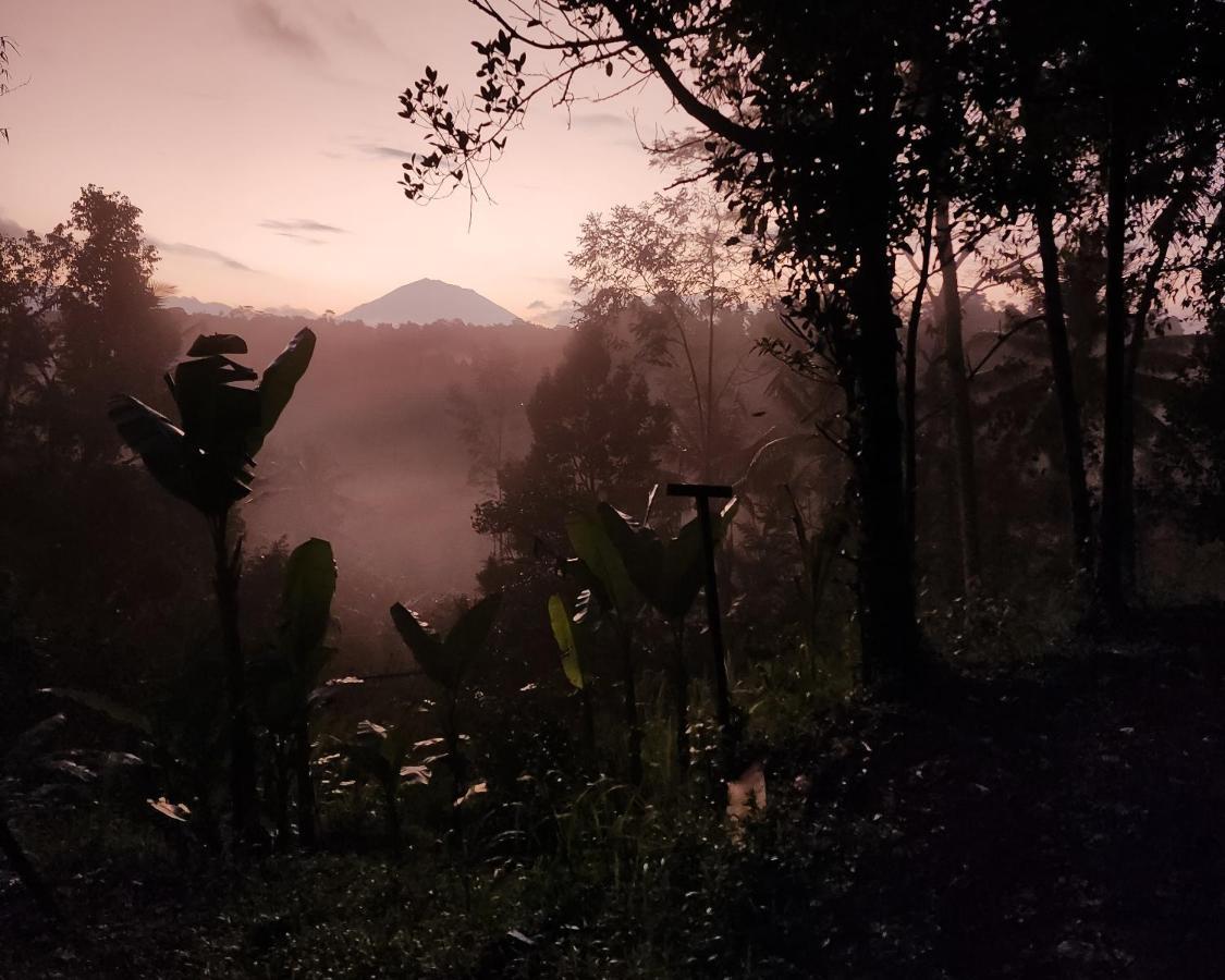 Delta Casa Ubud-Cozy Tropical Villas With Volcano View Gianyar (Bali) Ngoại thất bức ảnh
