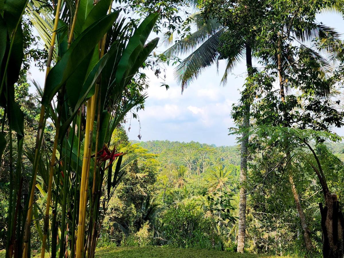 Delta Casa Ubud-Cozy Tropical Villas With Volcano View Gianyar (Bali) Ngoại thất bức ảnh