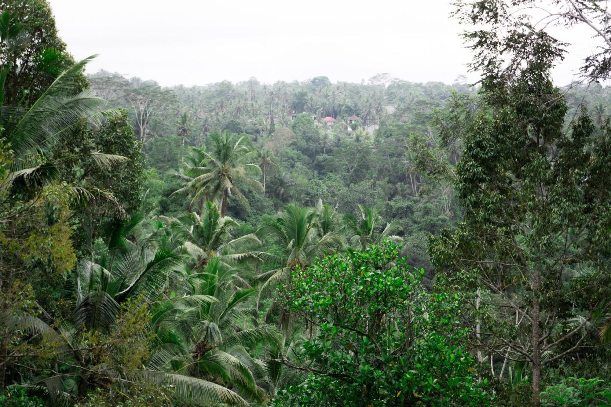 Delta Casa Ubud-Cozy Tropical Villas With Volcano View Gianyar (Bali) Ngoại thất bức ảnh